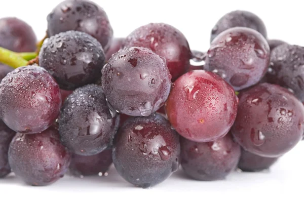 Raisins avec gouttes, fruits frais . — Photo