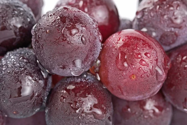 Druvor med droppar, färsk frukt. — Stockfoto