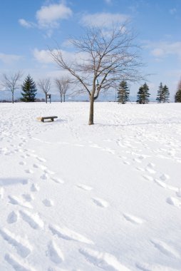 Footprint in the snow clipart