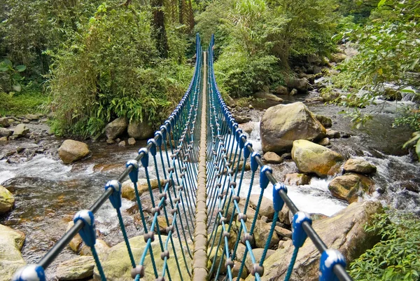 1 つのロープの橋 — ストック写真