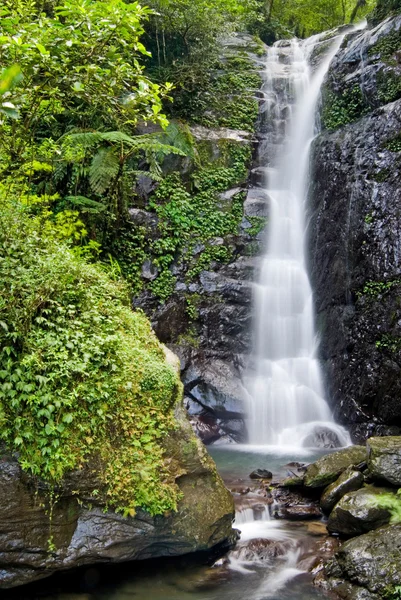 stock image Small Forest Waterfall