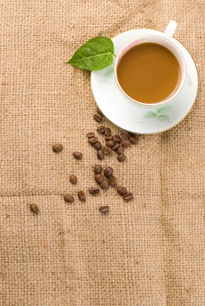 Čerstvá káva s fazolemi a zelený list — Stock fotografie