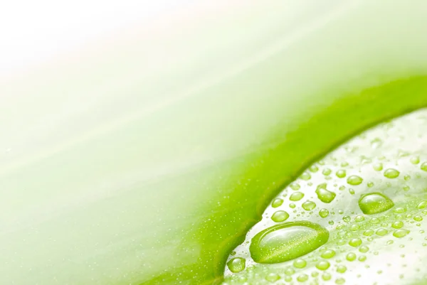 Water oppervlakte en groen blad — Stockfoto