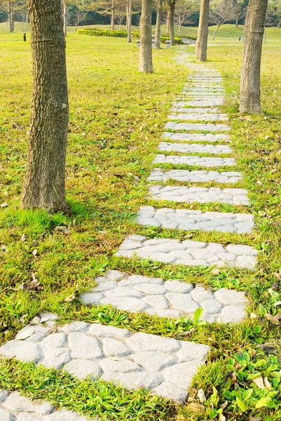 Stenen gångväg i park — Stockfoto