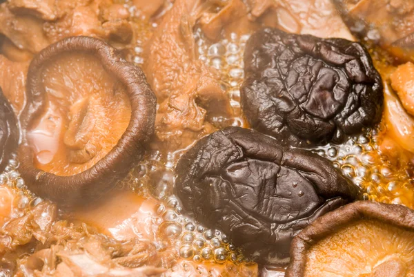 Stock image Stew mushrooms with chicken