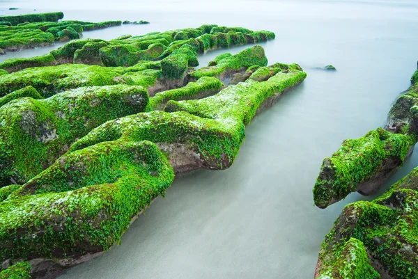 Zöld köves tengerparton — Stock Fotó