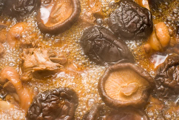 stock image Stew mushrooms with chicken