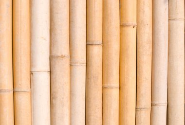 Bamboo texture, architecture decoration clipart