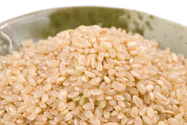 Geïsoleerde bruine rijst in kom — Stockfoto