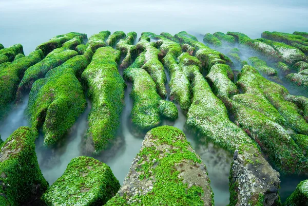 stock image Green Rocky Seacoast