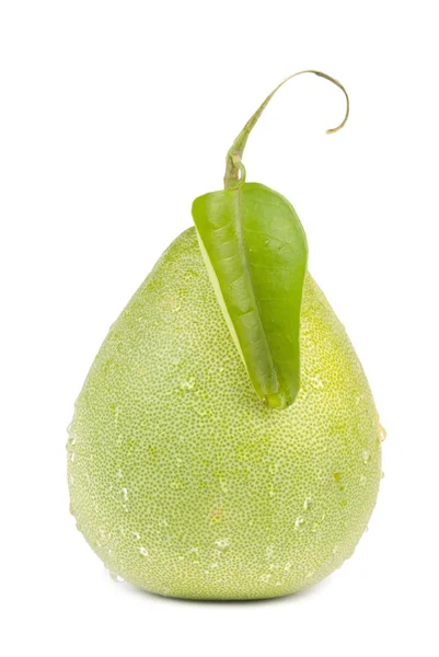 Färska POMPELMUS frukt med grönt blad — Stockfoto