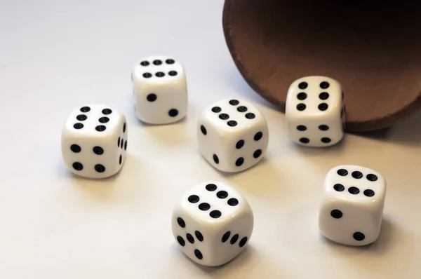 stock image Dices