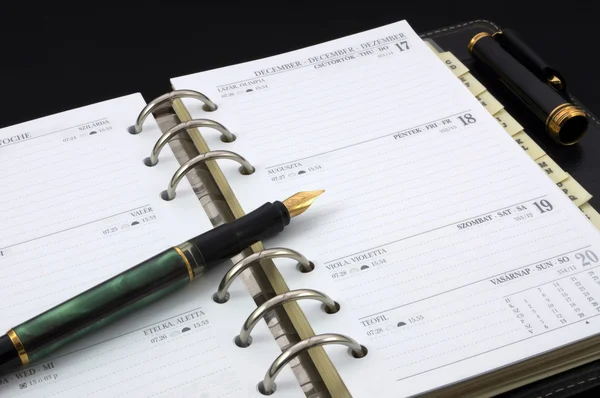 Pesonal diary and fountain pen — Stock Photo, Image