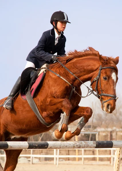 Salto de cavalo e jóquei — Fotografia de Stock