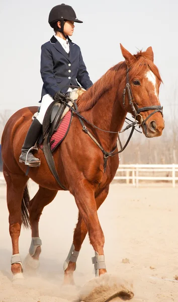 Paard en jockey springen — Stockfoto