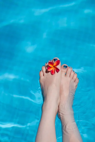 Pernas bonitas na piscina — Fotografia de Stock