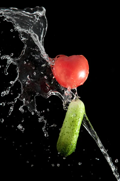 Ogórek i pomidor — Zdjęcie stockowe