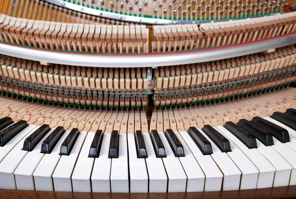 Mecánico de piano —  Fotos de Stock