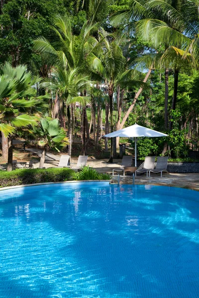 stock image Swimming pool