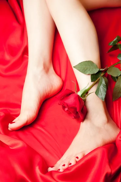 Belles jambes avec rose — Photo