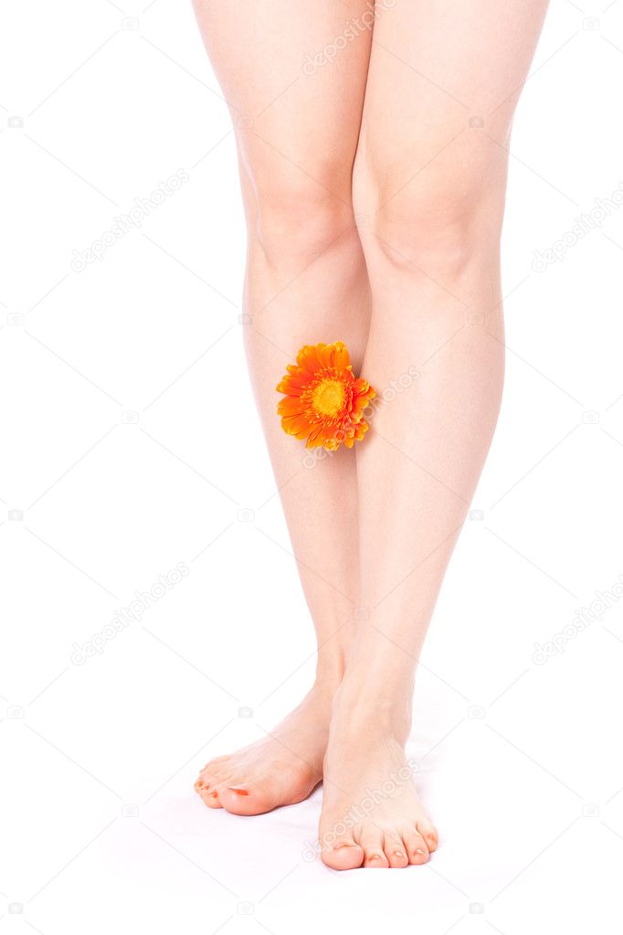 Legs of beautiful girl with flower