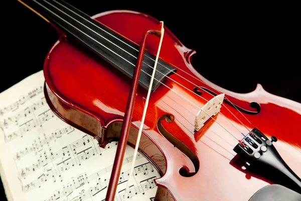 바이올린 — 스톡 사진
