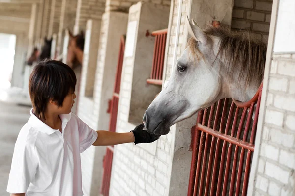 Kinesisk pojke och hästen — Stockfoto