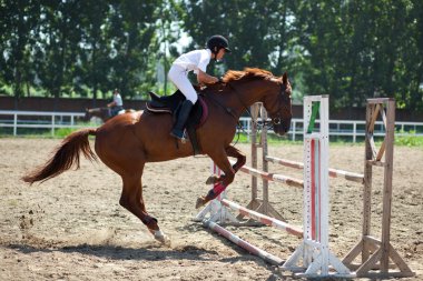 Jockey and horse in summer clipart