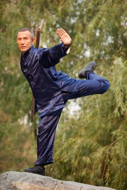 Wushu adam