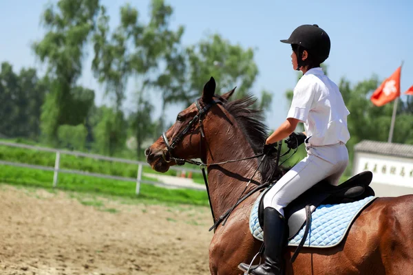 Jockey e cavallo in estate — Foto Stock