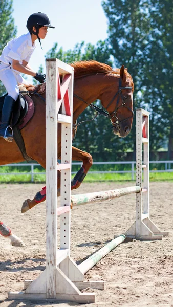 Jockey und Pferd im Sommer — Stockfoto