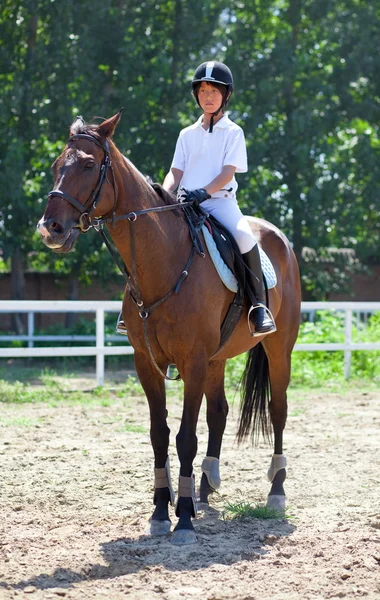 Jockey en paard in de zomer — Stockfoto
