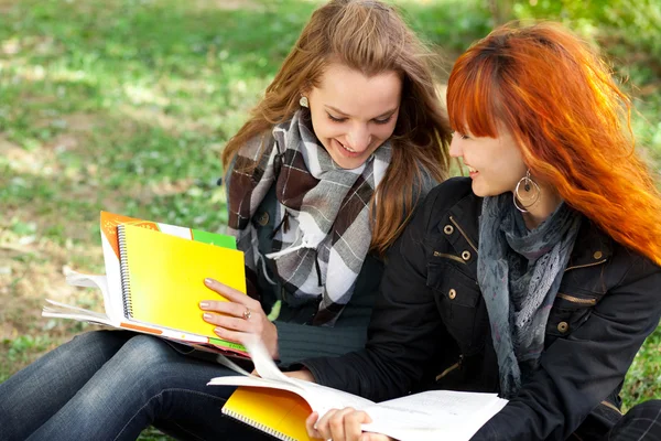 stock image Beautiful student