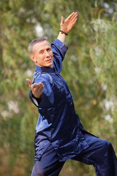 stock image Wushu man