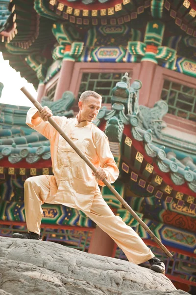 Uomo di Wushu — Foto Stock