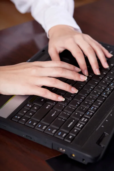 stock image Hands on laptop