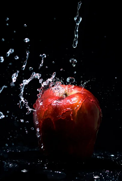 Az alma és a vizek négy — Stock Fotó