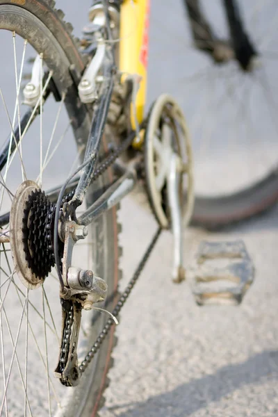 stock image Bike