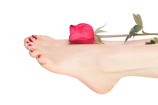 Belles jambes avec rose une — Photo