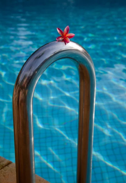 Swiming pool — Stock Photo, Image