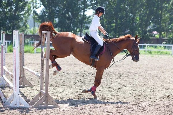 stock image Jockey and horse in summer