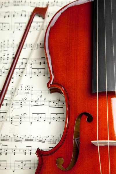 Violino — Foto Stock