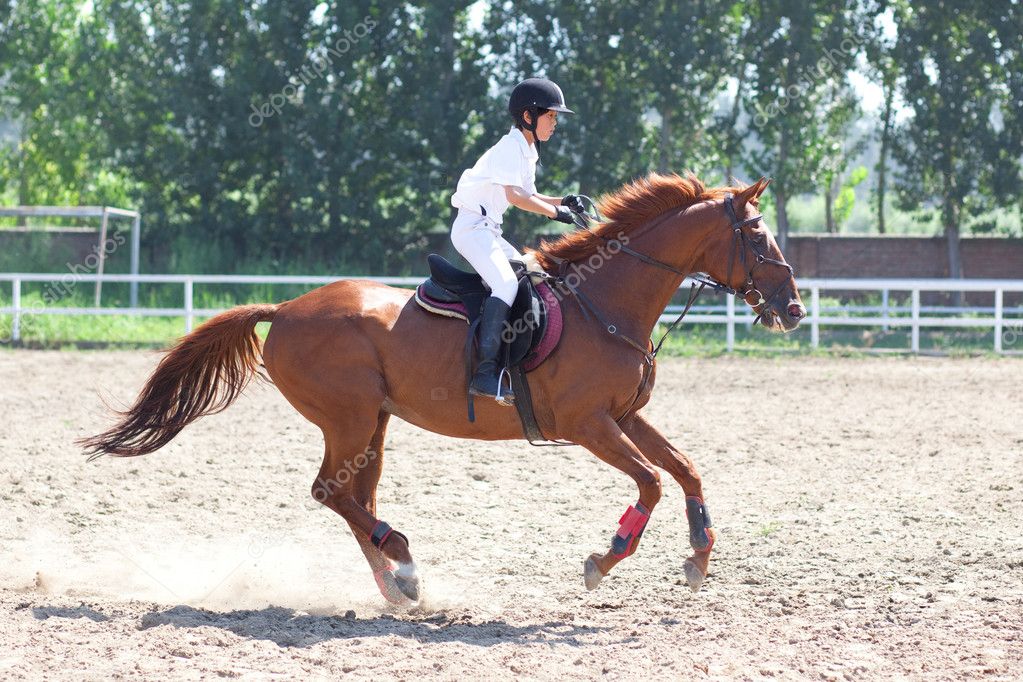Jockey and horse in summer