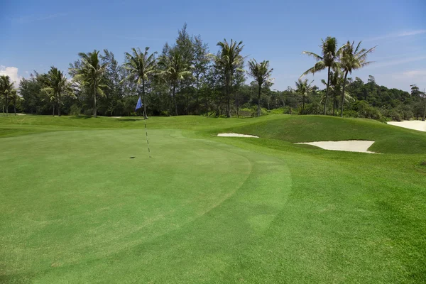 stock image Golf field with blue flag