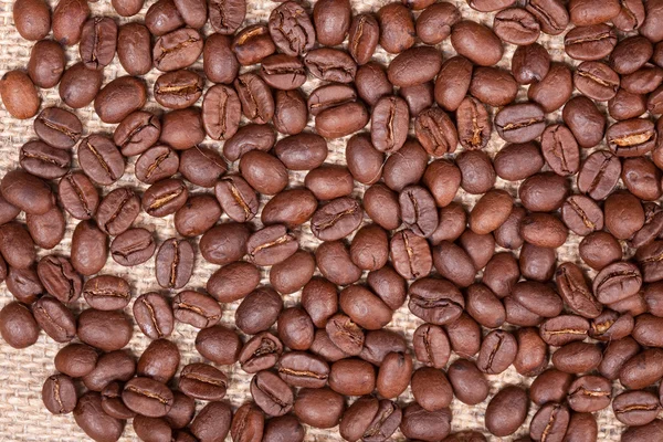 stock image Coffee beans