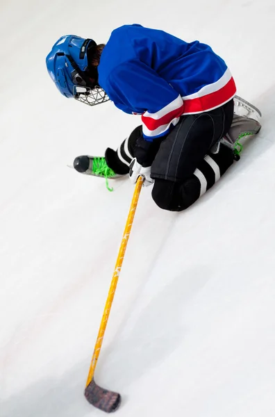 stock image Ice-hockey player