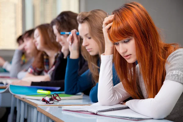 stock image Students