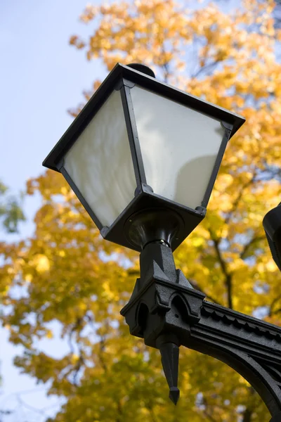 Park light — Stock Photo, Image