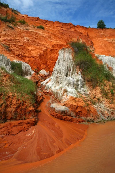 stock image Canyon