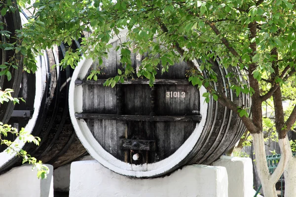 Barile vinoso — Foto Stock